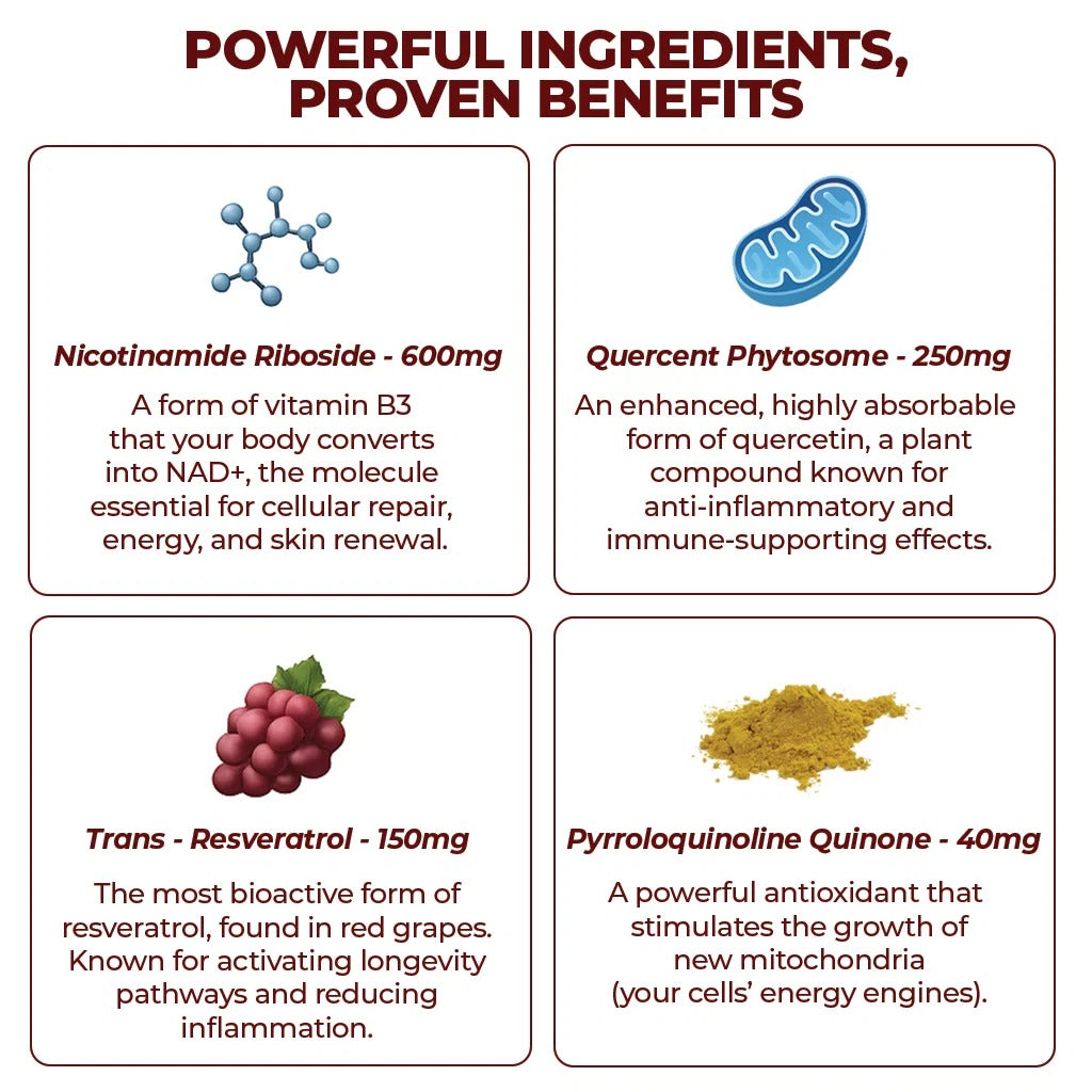 ZOONE Liquid NAD+ (1000mg  NAD+ | Naturally Flavored)